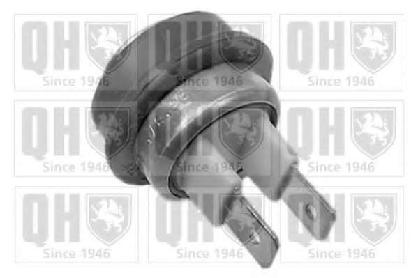 Термовыключатель, вентилятор радиатора