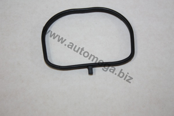 Прокладка впускного коллектора _ FORD Fiesta-V,Focus-II,C-Max,Mondeo-III